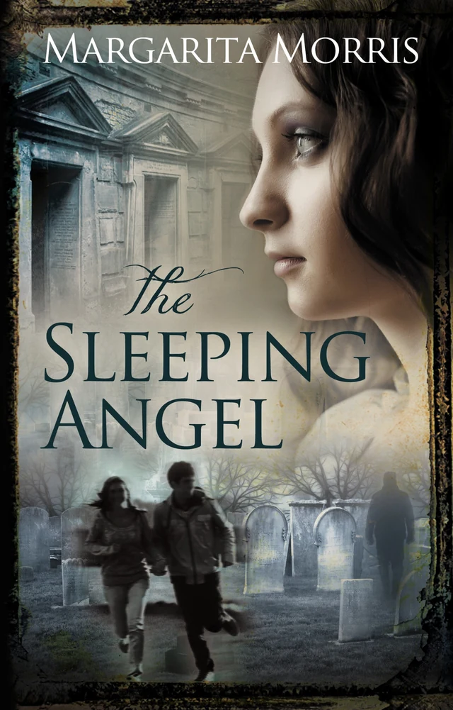 The Sleeping Angel book cover
